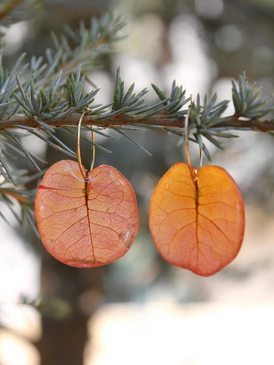 Dos pendientes de hoja naranja en resina, colgados de una rama