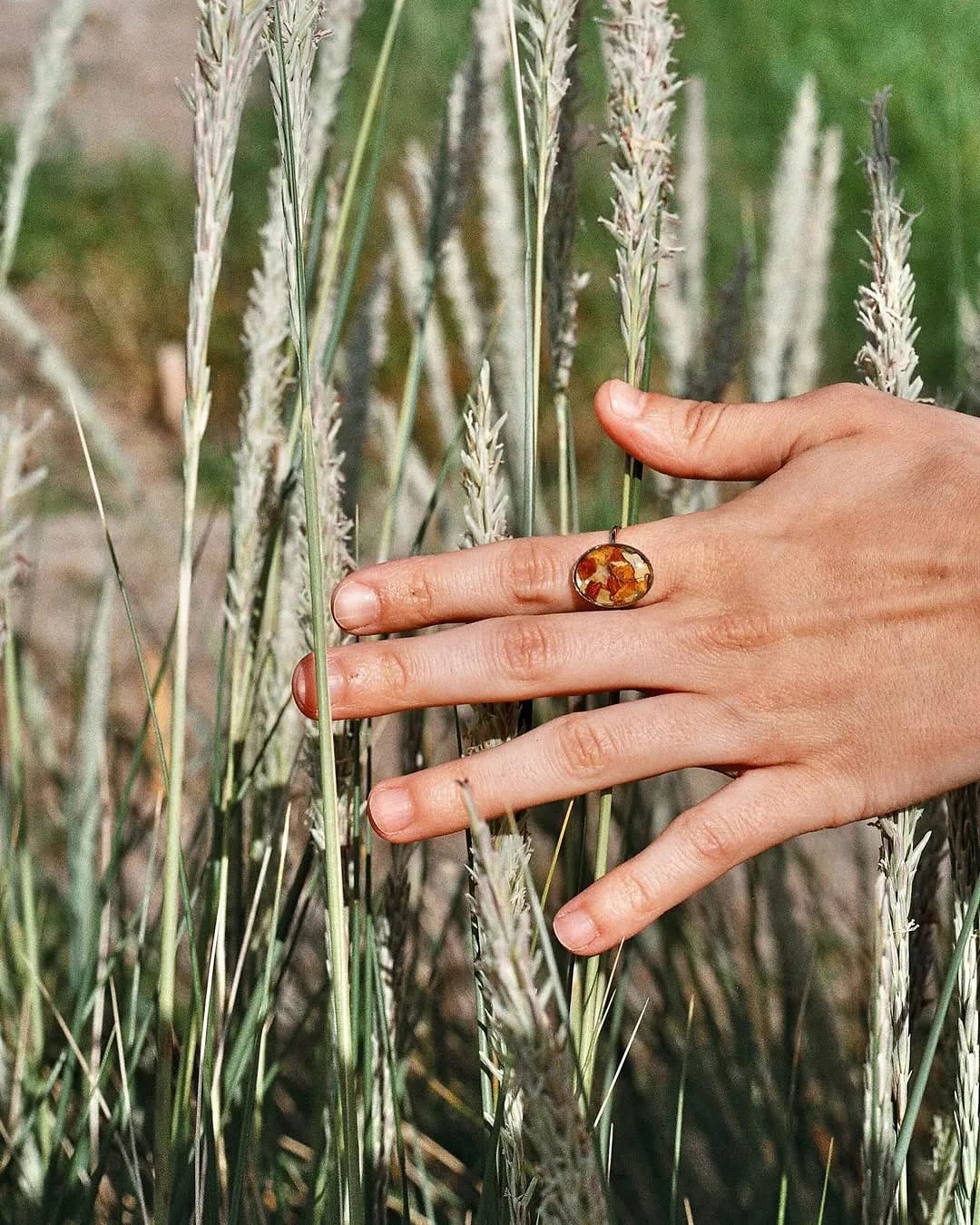 Una mano con anillos de resina entre espigas de campo